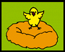 Baby Bird Productions Illustration. A chick pops out of a nest.