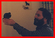 Children's stories and fairy tales from Baby Bird Productions. A photo of Bob giving Lucky, the orphaned pigeon, a flying lesson.