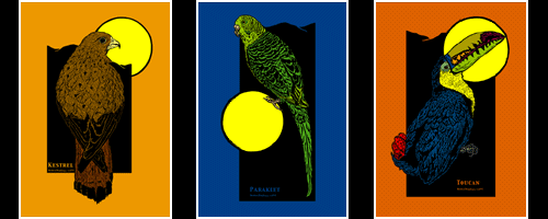 Bird art prints